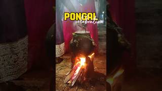 Pongal celebration at JIPMER PONDICHERRY..#mbbs #jipmer #medicolife #medschool