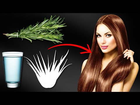 Rosemary And Aloe Vera Hair Oil: A Natural Remedy For Thinning Hair | 1Stop Health