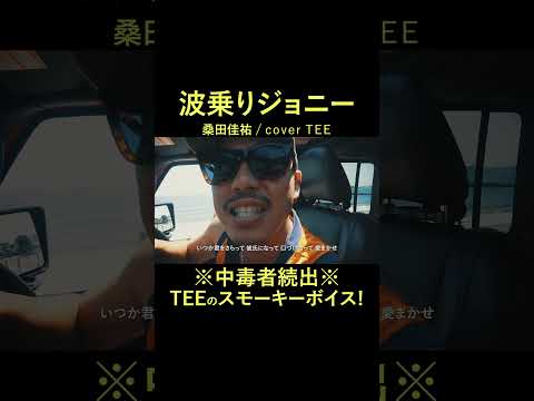 【もうすぐ４万回】波乗りジョニー - 桑田佳祐 / TEE rap ver #cover #歌ってみた