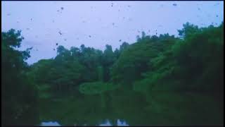 Kundara Back Water Beauty