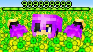 Minecraft, But The World Is XP...