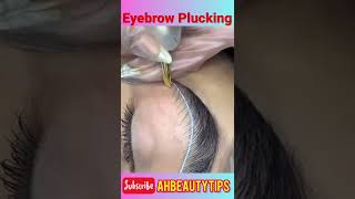 Satisfying Eyebrow Plucking ✨ #eyebrows #eyebrow #eyes #short #shorts