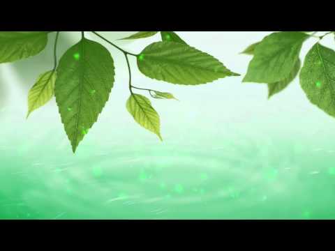 Water music pe verde