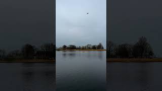 Friedrichstadt is a town in the district of Nordfriesland, in Schleswig-Holstein, #travel #nature