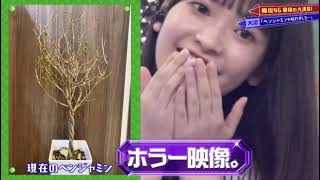 【欅坂46】ベンジャミンを闇に葬る大沼晶保