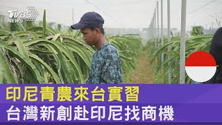 農田缺水一眼透視!仿生灌溉+無人機+衛星遙測 台新創赴印尼找商機｜TVBS新聞 @TVBSNEWS02