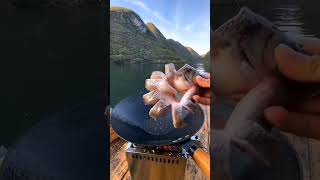 野外钓鱼、野外美食#生活方式 #bbq #grilling #fish #cookingbbq #food #eat