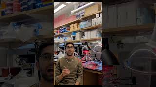 Neurotech Innovation: Amir Karimi's Brain Health Breakthroughs | UConn Research
