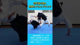 Amazing dropkick from an Aikido master!