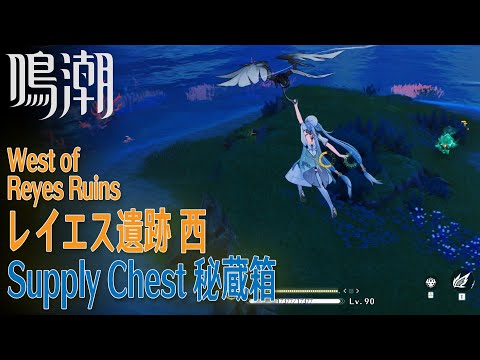 【鳴潮】秘蔵箱/リナシータ/レイエス遺跡西 [Supply Chest,West of Reyes Ruins,Riccioli Islands,Rinascita,WUWA,38725]