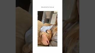 Funny cats video #cat #adoreble #funnypets #funny #petvideos #pets #funnyanimals #cute #shorts