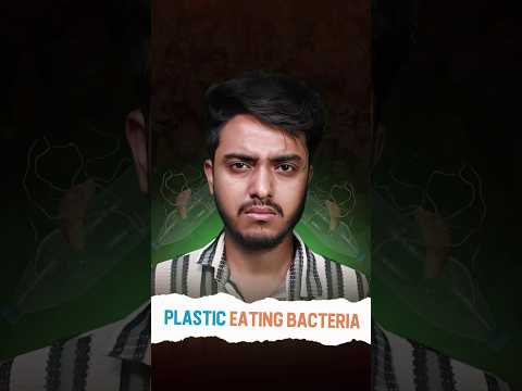 Do plastic-eating bacteria really work?