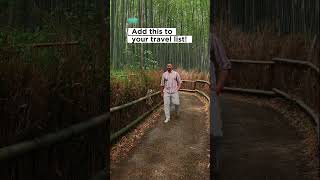 This Bamboo Forest Sounds Like a Dream… #JapanNature #BambooForest #shorts