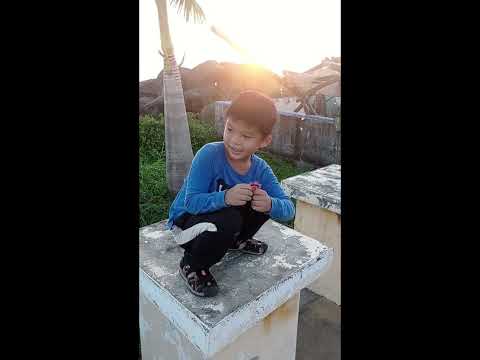蚵仔寮海岸光廊夏日時光