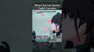 WHEN SERVAL MAINS FIGHT COCOLIA