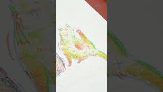 Goldfaber pencils – Colour Gradients  #fabercastell #pencildrawing #colouredpencil #illustration