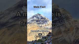 A man's ego is fragile, so #shorts #crush #funandfacts #factandfun #fact #relationships #funny