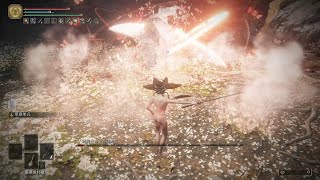 「米凱拉的鋒刃」女武神 瑪蓮妮亞 仕女劍 單翼架式 LV1 無傷/Malenia Milady RL1 No Damage/V1.12