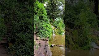 POV The Rye High Wycombe UK #pov #forest #naturewalk #londonwalk #uk #england #nature #greenery