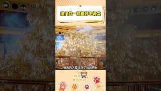 澳门这座充满神秘和魅力的城市真的好不真实#发财树 #澳门