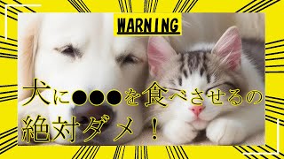 犬と猫の気持ちがわかる行動＆NG行為