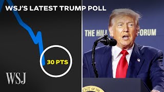 This Trump Poll Reveals a Number That Should ‘Scare’ Democrats | WSJ