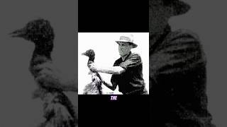 THE GREAT EMU WAR!!! #emu #emuwar #history #australia