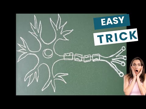 how to draw neuron diagram | neuron diagram easy way | neuron diagram | how to draw neuron drawing