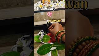#Day3 : #sawan #shiv #mahakal #mahadev #ytshorts @RinkuSoftwareEngineerVlogs