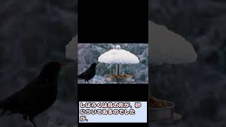 銀河鉄道の夜short37 #都市伝説 #名作文学 #名作  #雑学 #時代小説 #shorts #宮沢賢治