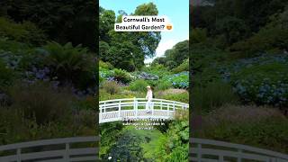 Wow! 🤩 Is this Cornwall’s Most Beautiful Garden!? 🌲 #cornwall #uktravel #traveluk #shorts