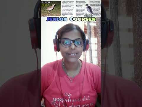 Jerdon Courser Bird shorts #enviorment #ecology #upscprelims #upsc2025 #upsc #innews #youtubeshorts