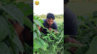 Reaction Funny Video || New Comedy Video 2025 😂 #newcomedy #funny #vakil01