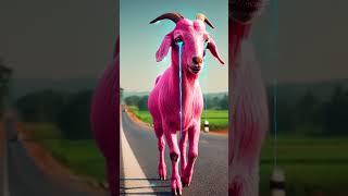 Animated video ll #viral #animals #scifivibes #ai