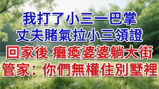 我打了小三一巴掌，丈夫賭氣拉小三領證，回家後癱瘓的婆婆躺在大街，管家：你們無權住別墅裡！#為人處世#生活經驗#情感故事#故事#小說#戀愛#情感#婚姻