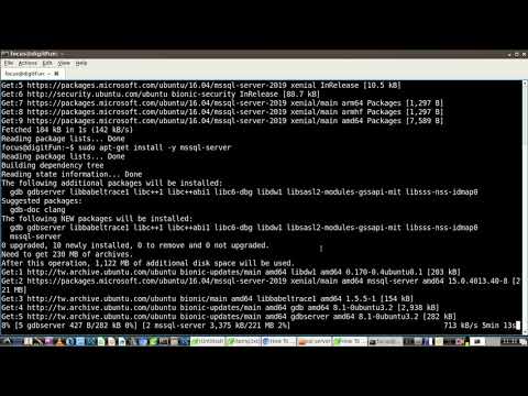 How To Install MS SQL Server 2019 on Ubuntu 18 04 LTS