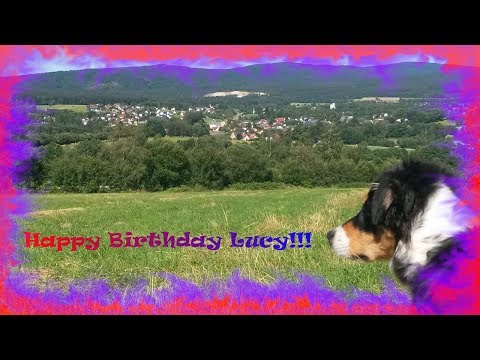 Happy Birthday, Lucy (Lucy, mein Hund wird 1Jahr alt)