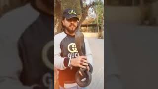 #snakeattack #attack #snakepower #snakesworld #snakeviral #bigsnake #snakeeagle #shahidsnakes