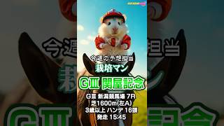 【競馬予想】ＧⅢ #関屋記念🏇AIねむリン🐹今回の予想担当は栽培マン推奨馬2頭で好配当的中🎯目指します👍《#競馬楽部💛（LOVE）》Vol.177 通算Vol.379