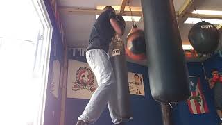 Vegan Boxer on the Aqua Bag