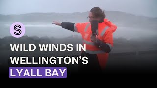 'I can barely stand up': Ferocious winds at Wellington’s Lyall Bay | Stuff.co.nz