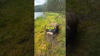 He got stuck in the ground! 😱 (@melissayonan)
