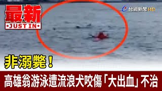 非溺斃！ 高雄翁游泳遭流浪犬咬傷「大出血」不治【最新快訊】