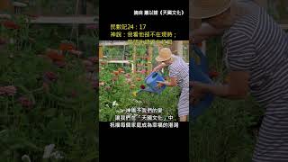 神的愛如何讓你發掘別人的珍貴？