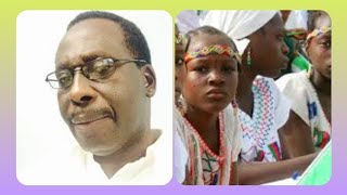 "THEY SHARE THE MADNESS OF SOME NORTHERNERS" BABAYO OLUWASANMI SAYS