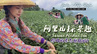 台灣阿里山採茶趣 Taiwan Alishan Tea Travel｜Judy's Life Style｜