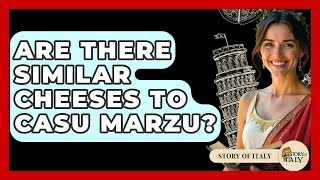 Are There Similar Cheeses To Casu Marzu? - Story Of Italy
