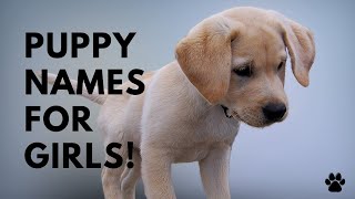 🐶 Puppy Names For Girls - 51 CUTE & TOP Ideas | Names