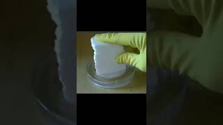 fome are dissolve in acetone | amazing science exhibition experiments | chemistry | organic #shorts