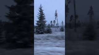 #frozenlife 🇳🇴❄️❄️